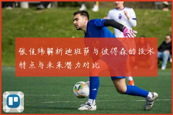 张佳玮解析迪班萨与彼得森的技术特点与未来潜力对比